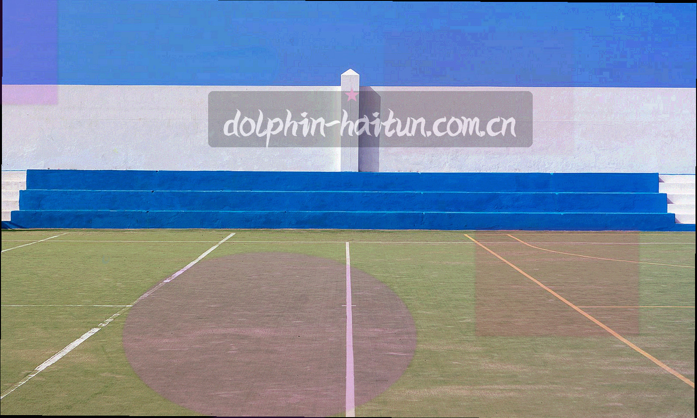 海豚剪影穿行在由数据网格与等高线构成的深海背景中